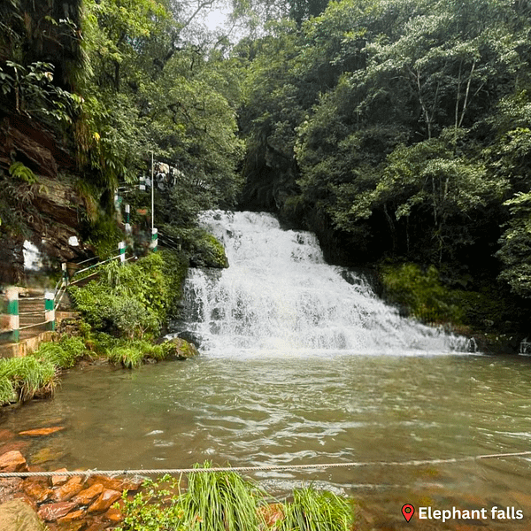 a large body of water with trees around it